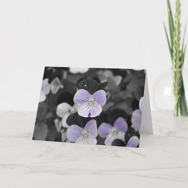 Carte Panneaux / Couleur isolée (Devant)