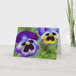 Carte Pansies bleues