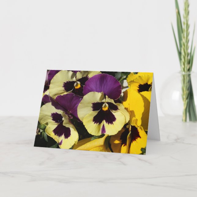 Carte Pansies de ressort (Devant)