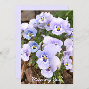 Carte Pansies Pastel Violet Manquant Photo personnalisée