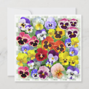 Carte Pansy Collage