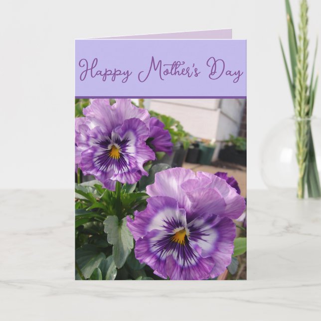 Carte Pansy Purple Flower floral Mothers Day Card Blue (Devant)