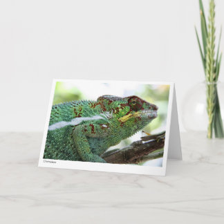 Carte Panther chameleon Gift Card