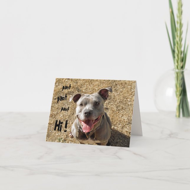Carte Panting Pitbull (Devant)