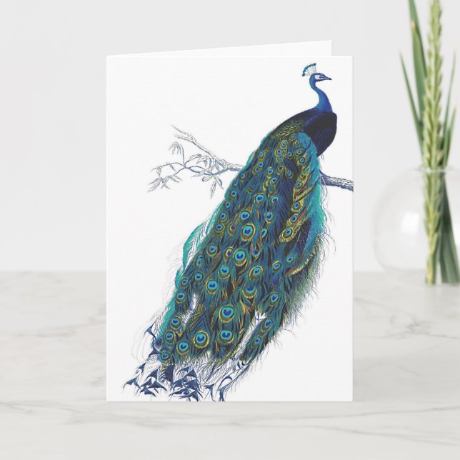 Carte Paon bleu avec de belles plumes de queue (Devant)