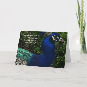 Carte Paon de près Anniversaire