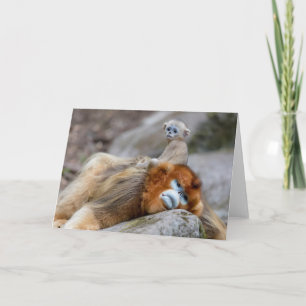 Carte Papa singe à nez doré avec bébé