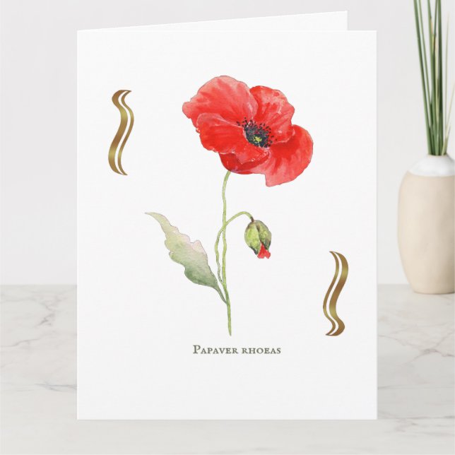 Carte Papaver rhoeas  (Devant)
