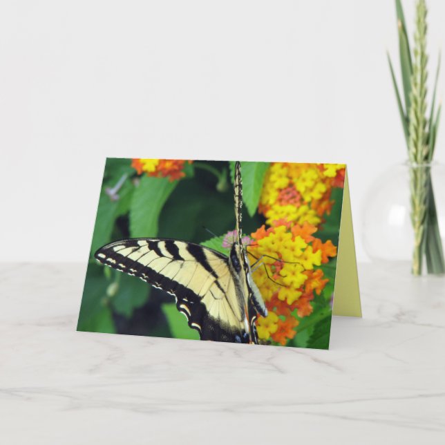 Carte Papillon (Devant)