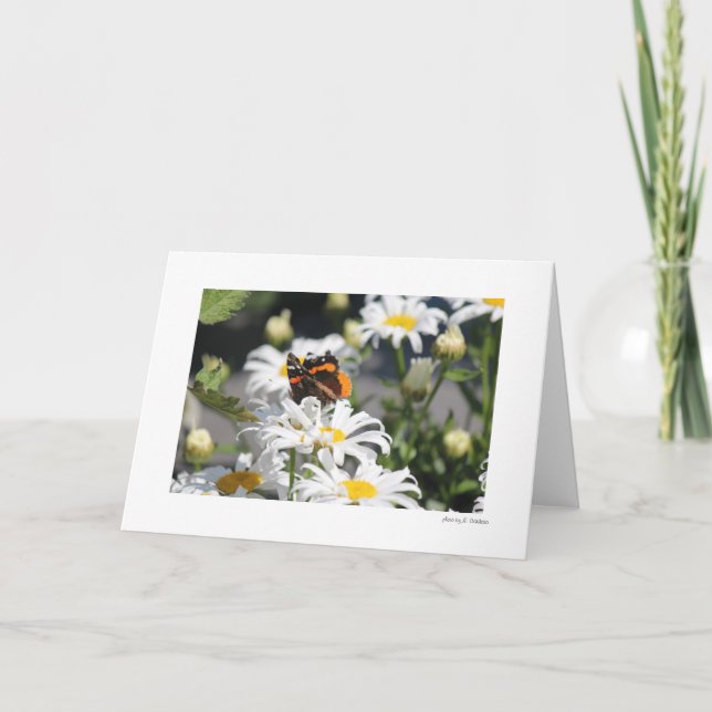 Carte Papillon (Devant)