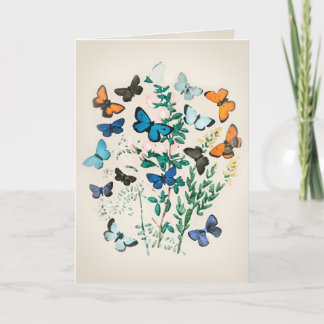 Carte Papillon aquarelle vintage
