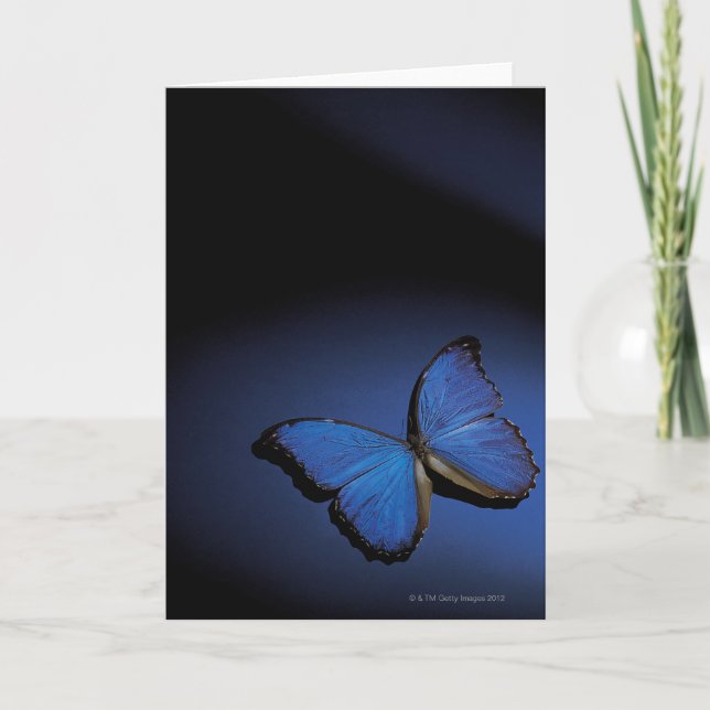 Carte Papillon bleu (Devant)