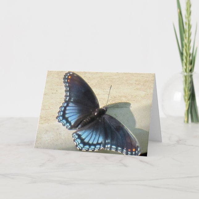Carte Papillon bleu (Devant)