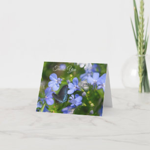 Carte Papillon bleu sur une Fleur bleue