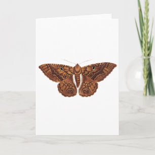 Carte Papillon Brown vintage