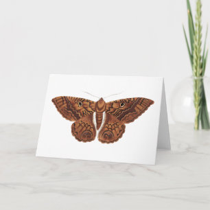 Carte Papillon Brown vintage