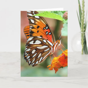 Carte Papillon de fritillaire de Golfe