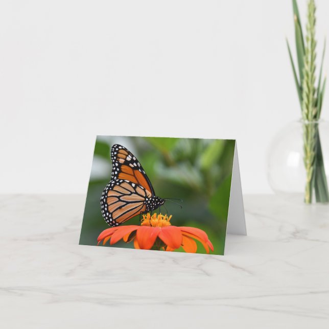 Carte Papillon de monarque sur la fleur (Devant)