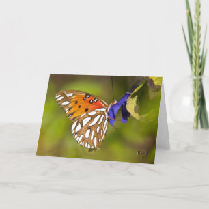 Carte Papillon de passion embrassade Lee Hiller Photogra