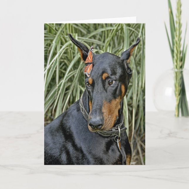 Carte Papillon Doberman Surprise (Devant)