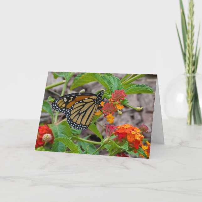 Carte Papillon et Lantana (Devant)