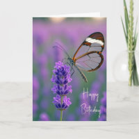 Papillon Glasswing à la naissance sur la lavande