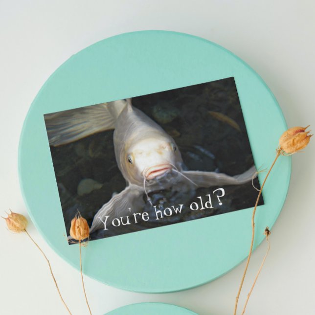 Carte Papillon Koi Photo Amusant Anniversaire (In Situ)