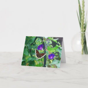 Carte Papillon le matin fleur de gloire