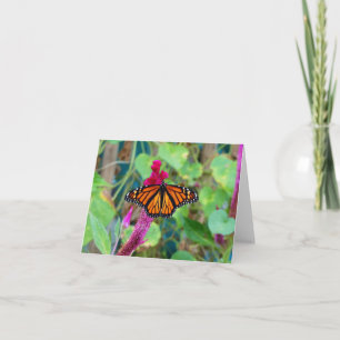Carte Papillon monarque