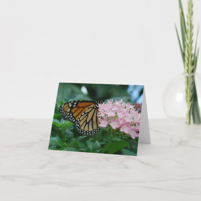 Carte Papillon monarque (Devant)