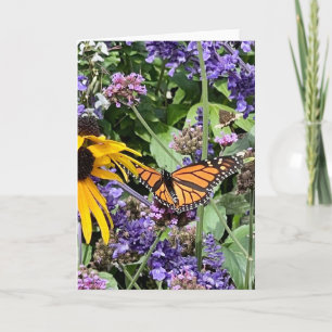 Carte Papillon Monarque