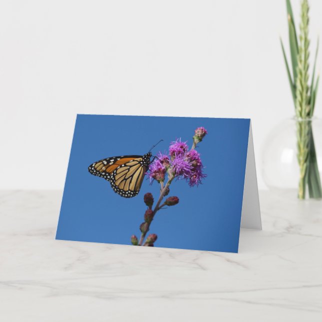Carte Papillon monarque (Devant)