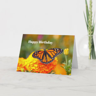 Carte Papillon Monarque Orange Marigold Photo Anniversai