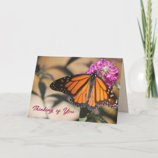 Carte Papillon Monarque Pensée pour Vous