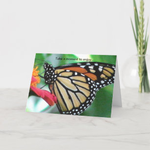 Carte Papillon Monarque pour les amoureux de la nature C