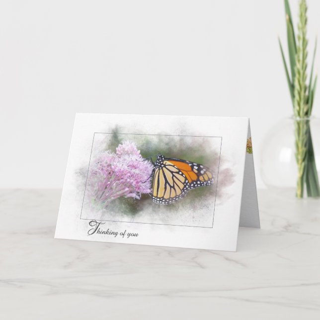 Carte Papillon Monarque sur Milkweed (Devant)