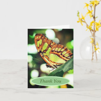 Carte Papillon observer la nature Merci personnalisé