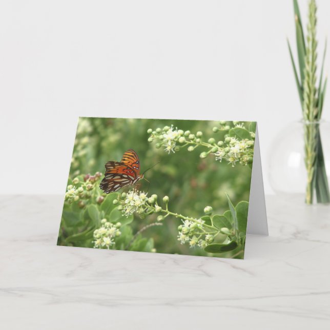Carte Papillon orange Toutes les occasions Salutation bl (Devant)