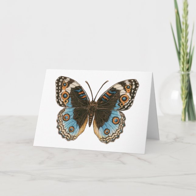 Carte Papillon Pansy Bleu (Devant)