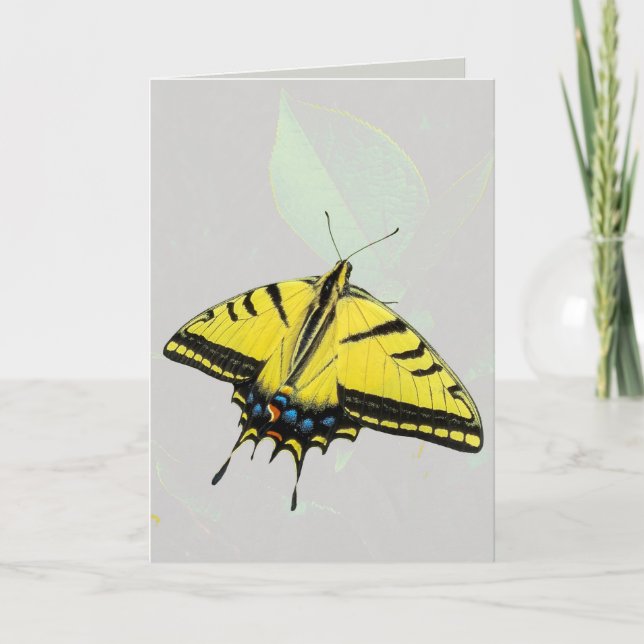 Carte Papillon Papillon Tigre de l'Ouest & feuille  (Devant)