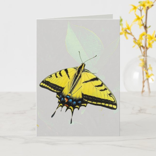 Carte Papillon Papillon Tigre de l'Ouest & feuille  (Fleur jaune)