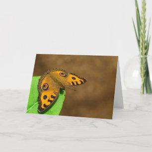 Carte Papillon Peacock Pansy