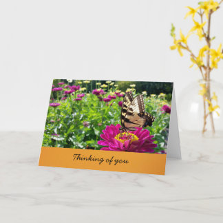 Carte Papillon- Pensées pour toi (intérieur vierge)