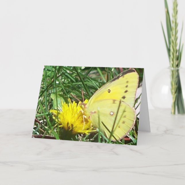 Carte Papillon - Penser À Vous (Devant)
