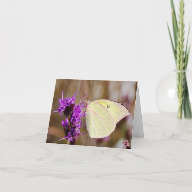 Carte Papillon pour la graduation et l'inspiration (Devant)