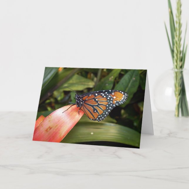 Carte papillon Queen (Devant)