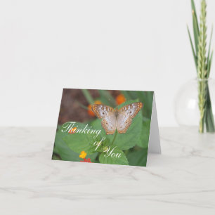 Carte Papillon qui pense à vous