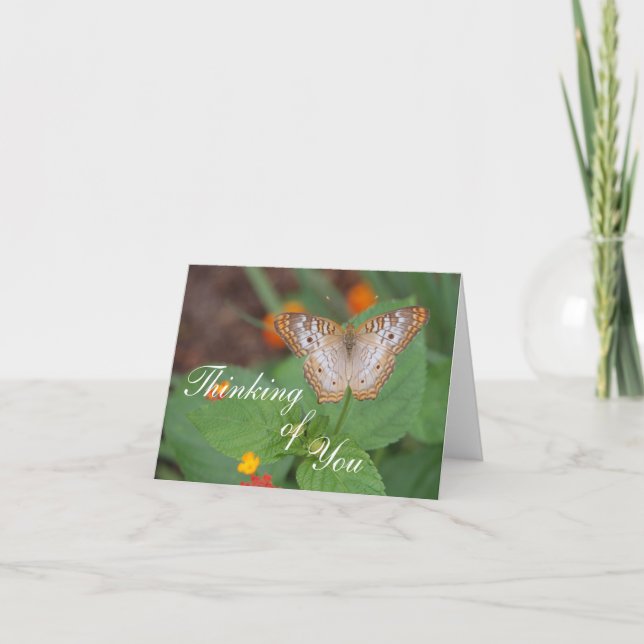 Carte Papillon qui pense à vous (Devant)