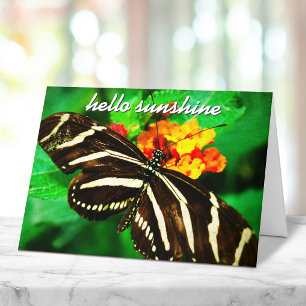 Carte Papillon rayé noir et blanc Script Hello Sunshine
