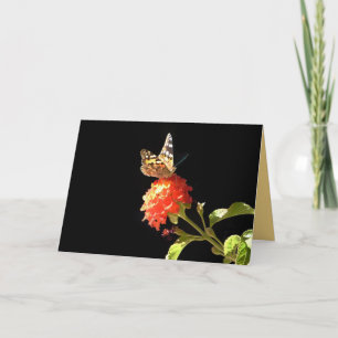 Carte Papillon sur Fleur orange, Blank Inside Greeting